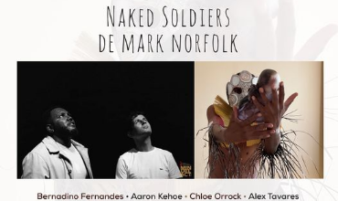 Naked Soldiers de Mark Norfolk